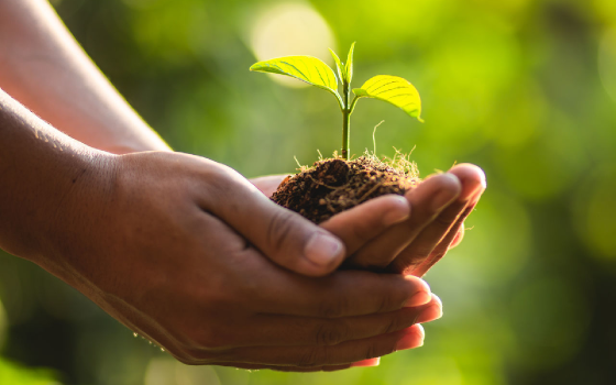 Informativo Ambiental: Abril de 2021