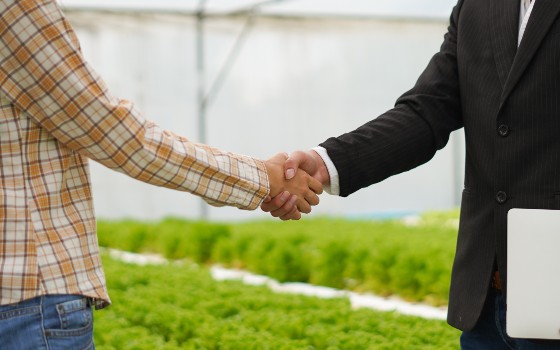 Antitrust and Climate Change