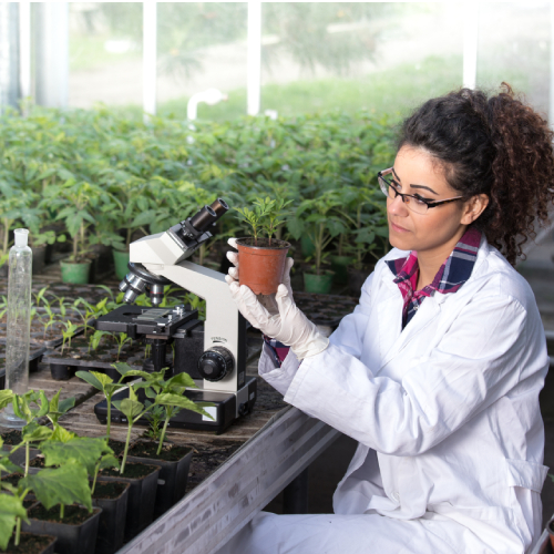 A competition panorama: upcoming challenges in the agribusiness sector