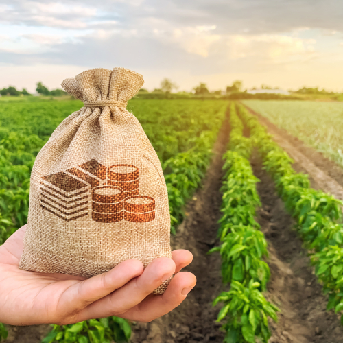 Produtor Rural e as Cédulas de Produto Rural no Projeto de Reforma da Lei de Recuperação e Falências