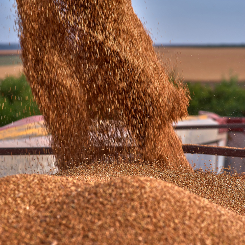 STF 2020: impacts on taxation of agribusiness