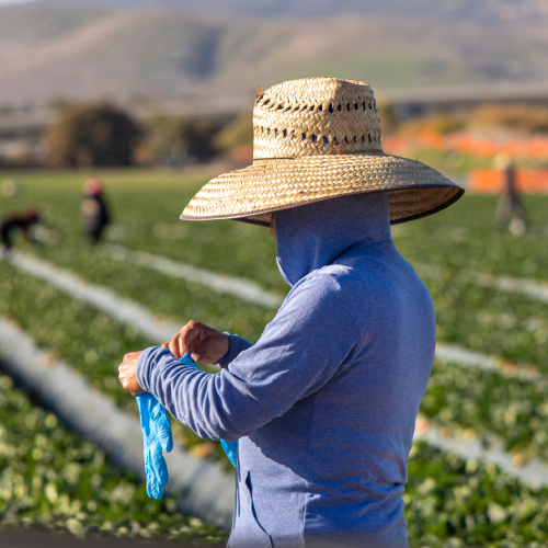 Farm workers and time spent in transit