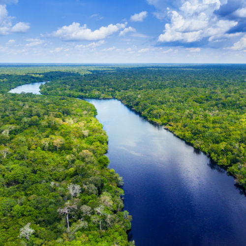 Informativo Ambiental: STF determina a reativação do Fundo Amazônia e mais notícias de novembro de 2022