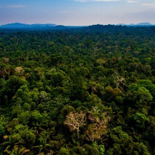 Novo Governo inicia ajustes nas Agendas Social, Ambiental e Climática