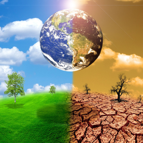 Informativo Ambiental e Mudanças Climáticas: "Decretos de combate às mudanças climáticas publicados no Dia Internacional do Meio Ambiente" e mais destaques de junho de 2023