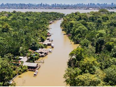 COP30 e a agenda do clima: o papel do setor privado no financiamento climático