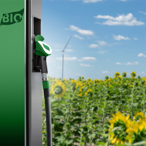Newsletter de Energia: Data centers consolidam posição como principal vetor de crescimento da demanda de energia e mais notícias do setor