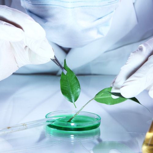 Brazilian PTO Issues New Examination Guidelines for Patent Applications in the Field of Biotechnology