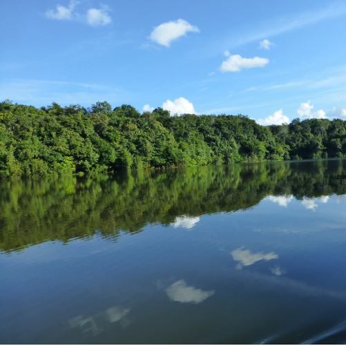 Basic sanitation and the environment