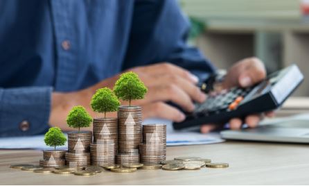 Alinhando finanças e sustentabilidade: o papel dos fundos de investimento no mercado de carbono do Brasil