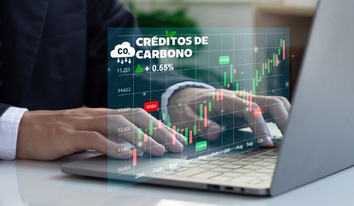 Brazil’s Carbon Credit Market: Opening Doors to International Trade