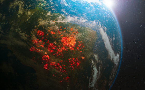 Tendências da litigância climática