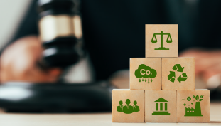 Jurisdictional REDD+ and the Advance Sale Controversy: Lessons from the Pará Carbon Credit Deal