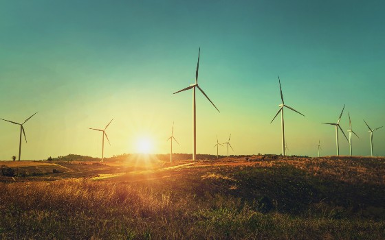 Climate Change and the Law