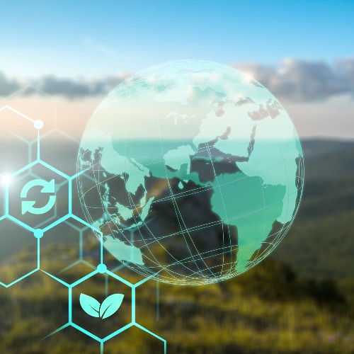 Informativo Ambiental: Mercado de Carbono no Brasil, acesso à informação ambiental e mais notícias de maio de 2022