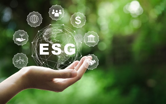 The Sustainability agenda in the National Financial System