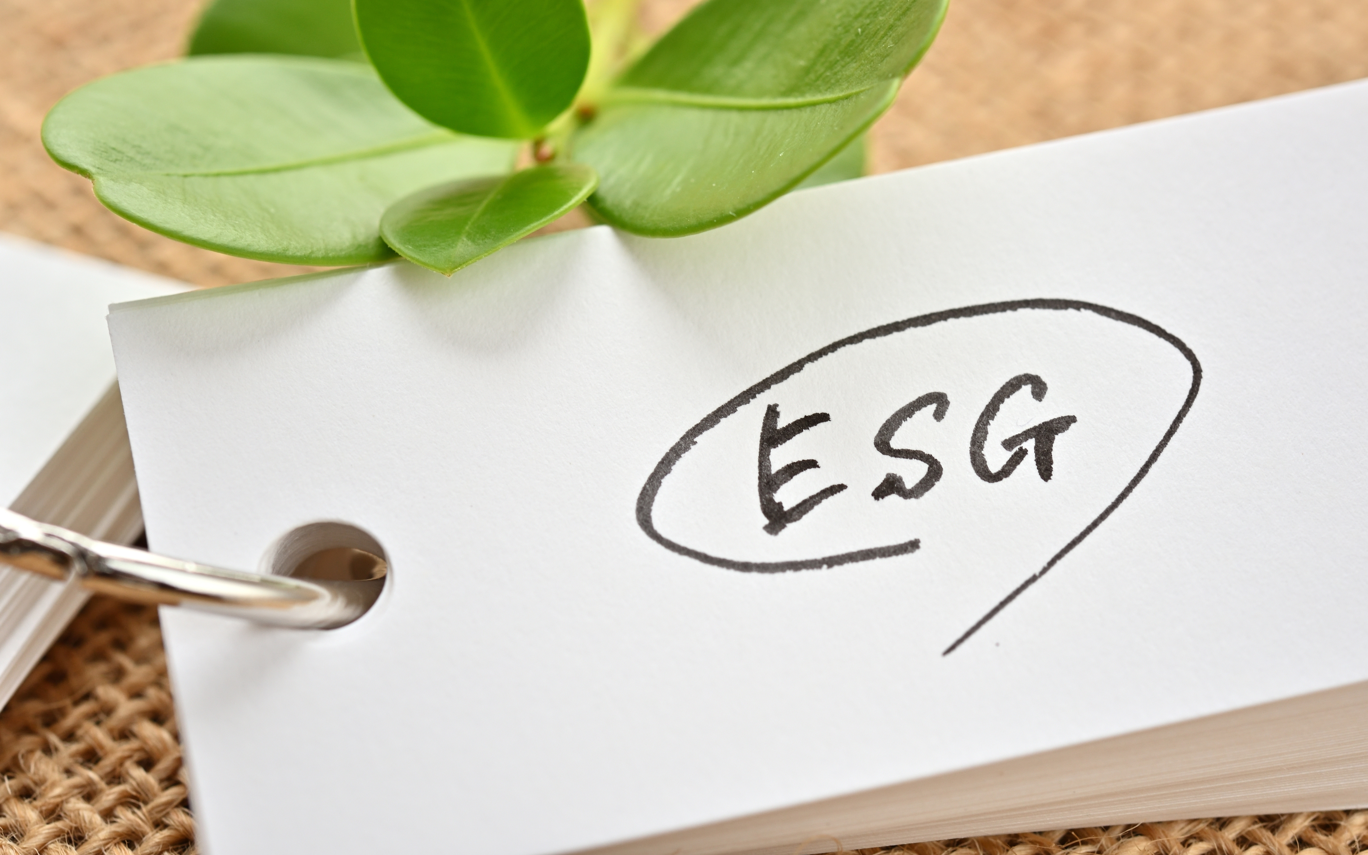 Gestoras usam métricas mais rígidas para análises de ESG