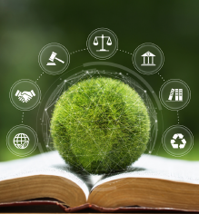 Litigância climática: breves considerações sobre um movimento em crescimento