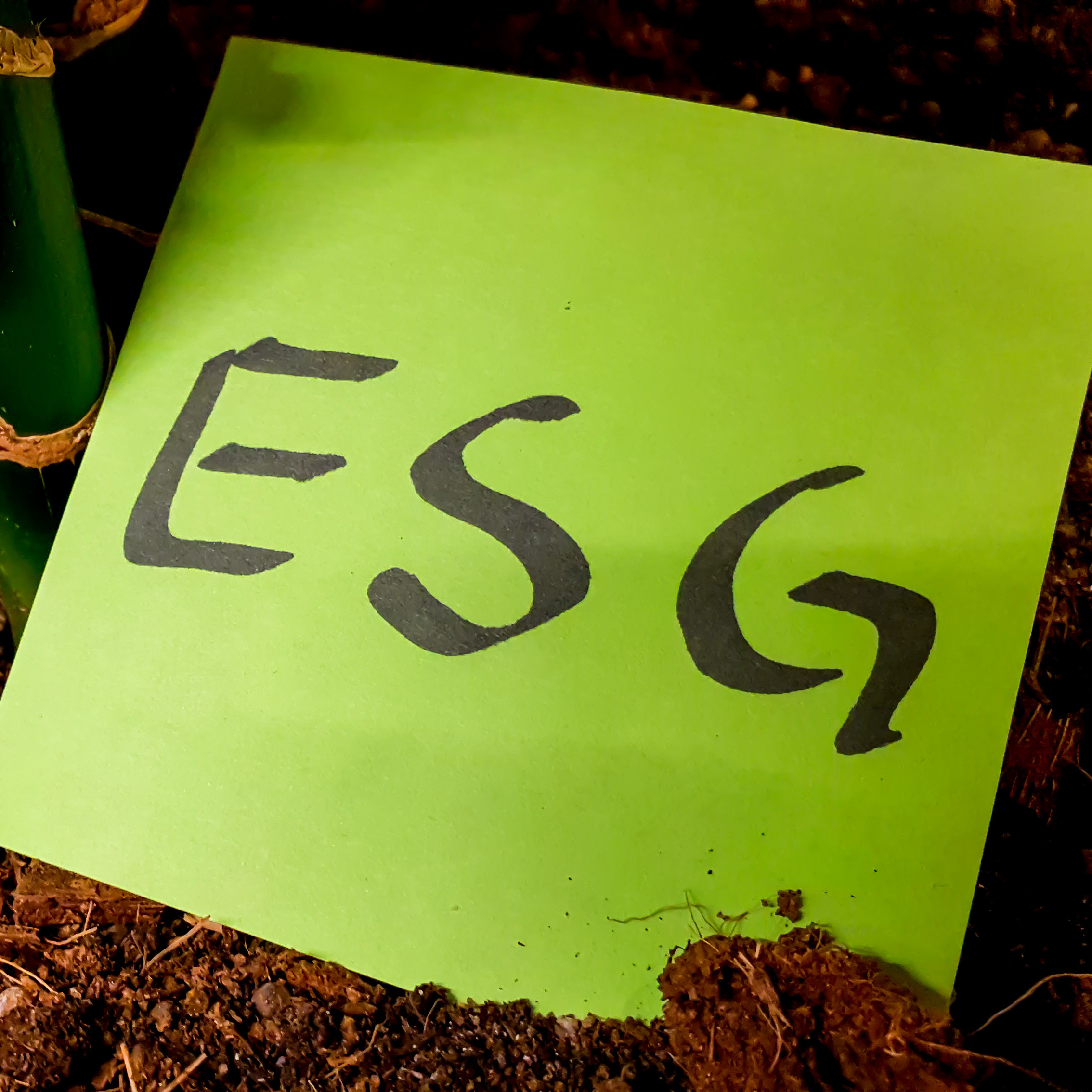 Na Lei das SA, Bulhões e Lamy anteviram o ESG