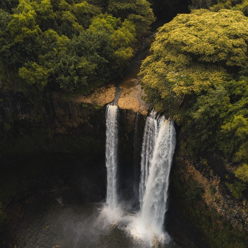 Informativo Ambiental e Mudanças Climáticas: Decreto institui Programa Nacional de Crescimento Verde e mais notícias de outubro de 2021