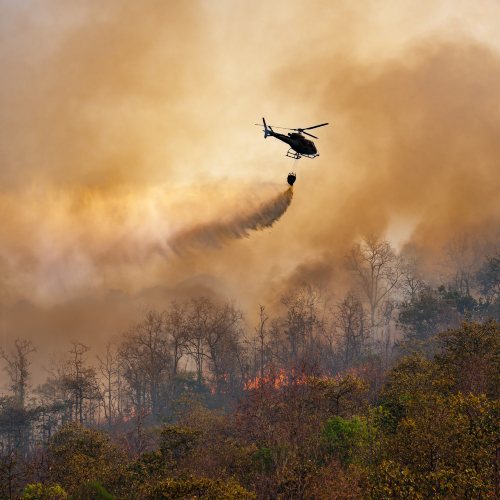 Lei estabelece medidas excepcionais para combate a incêndios florestais e apoio a desastres climáticos e mais notícias de maio e junho de 2025