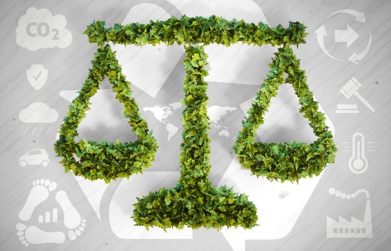 Climate Litigation