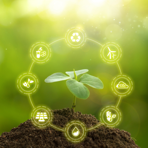 Avanços na implementação do mercado regulado de carbono brasileiro