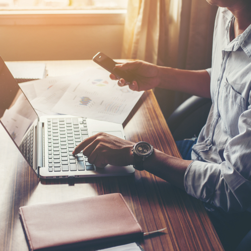 Programa de Mobilização de Capital Privado Externo e Proteção Cambial – Programa Eco Invest Brasil