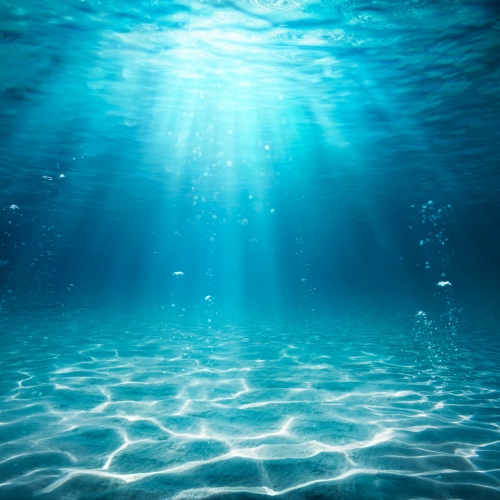 Um Oceano