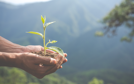 Informativo Ambiental: fevereiro 2021