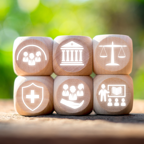 Structural Litigation: The Judiciary’s New Frontier in Public Policy