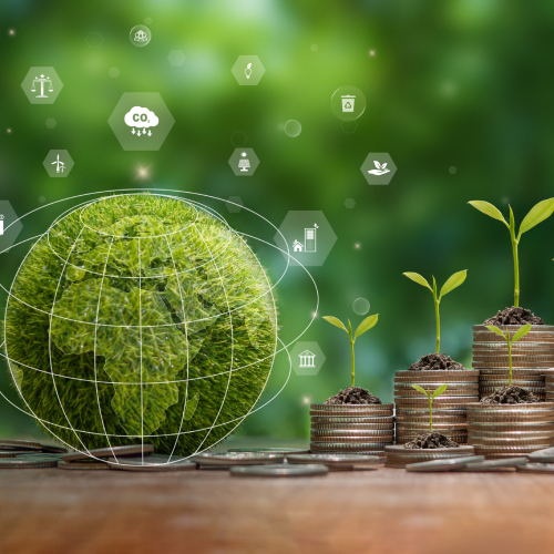 Brazil’s Tax Reform and the Taxation of Environmental Impacts