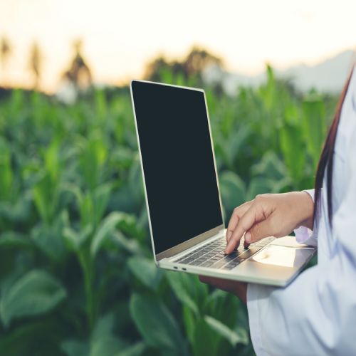 The Provisional Measure Law conversion nº 897 (“MP Agro”) brings news with regard to restrictions for foreigners in rural properties