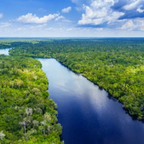 Informe Ambiental e Mudanças Climáticas: STF aplica competência supletiva em renovação de licença ambiental e mais notícias de dezembro de 2022