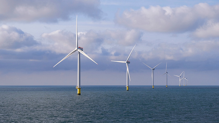 Environmental regulation of offshore wind energy