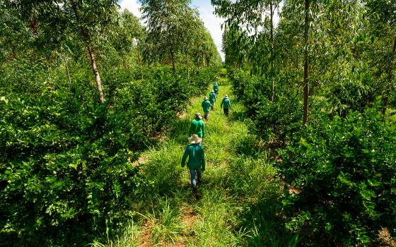 Adaptation to Climatic Changes: Biodiversity and Agribusiness
